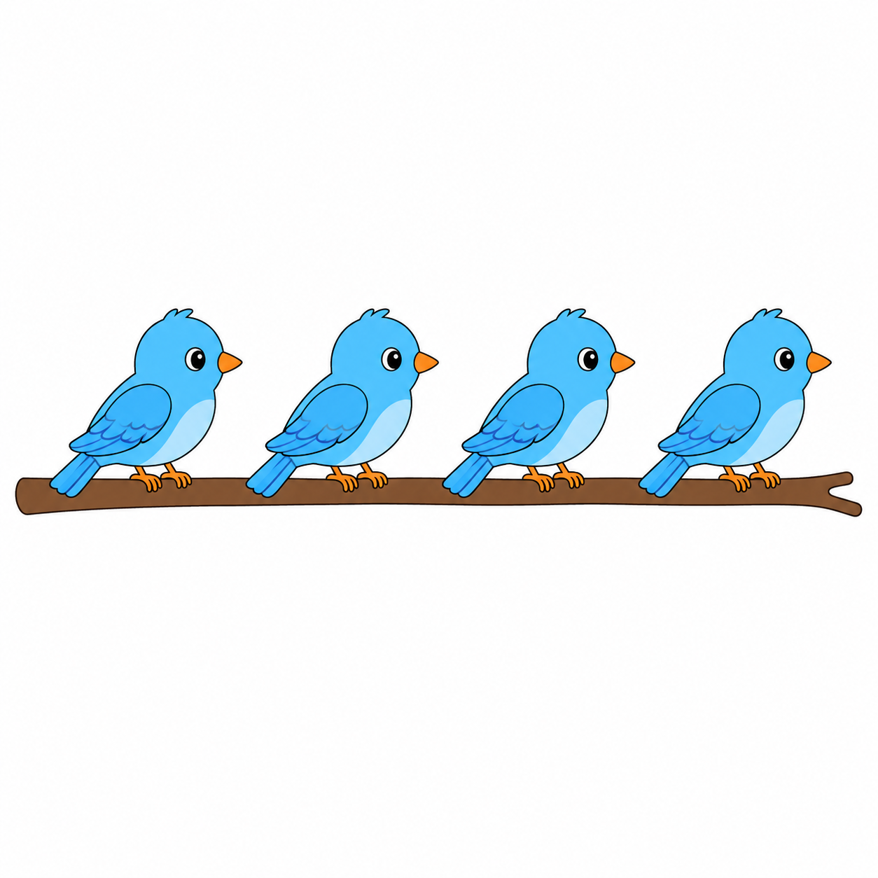 bird